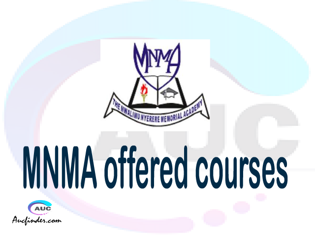 Mwalimu Nyerere Memorial Academy Offered Courses 2021